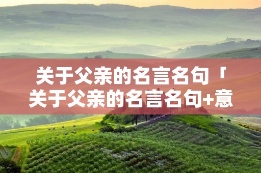 关于父亲的名言名句「关于父亲的名言名句+意思」