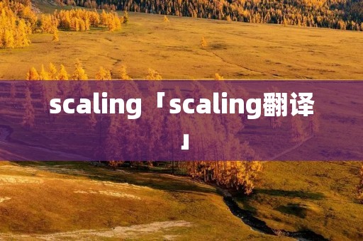 scaling「scaling翻译」