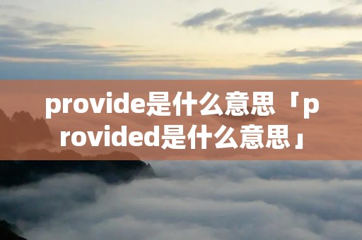 provide是什么意思「provided是什么意思」