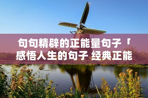 句句精辟的正能量句子「感悟人生的句子 经典正能量短句」