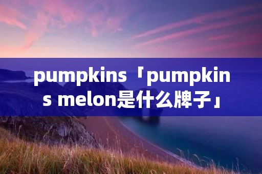 pumpkins「pumpkins melon是什么牌子」