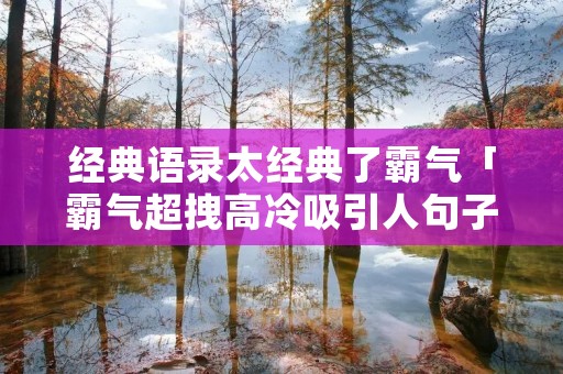经典语录太经典了霸气「霸气超拽高冷吸引人句子」
