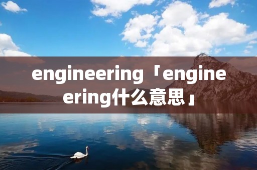engineering「engineering什么意思」