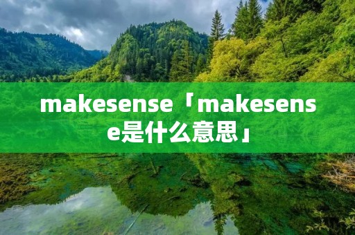 makesense「makesense是什么意思」