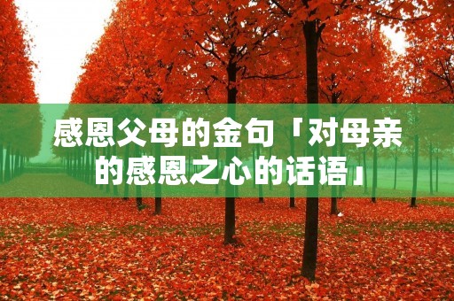 感恩父母的金句「对母亲的感恩之心的话语」