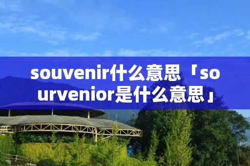 souvenir什么意思「sourvenior是什么意思」 souvenir什么意思「sourvenior是什么意思」