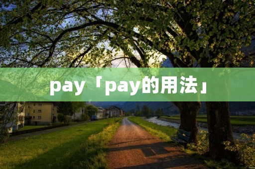 pay「pay的用法」