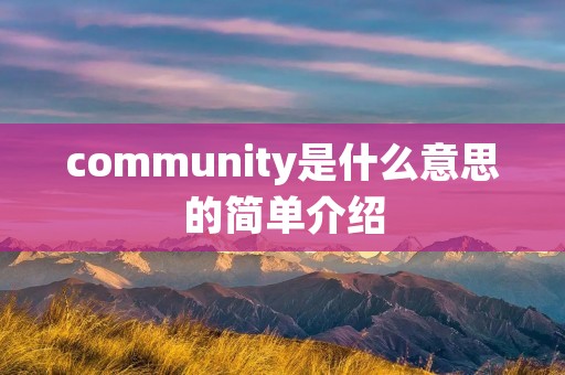 community是什么意思的简单介绍