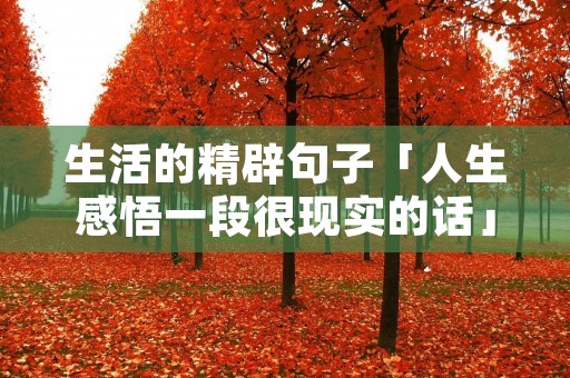 生活的精辟句子「人生感悟一段很现实的话」