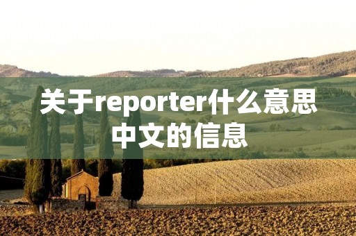 关于reporter什么意思中文的信息 关于reporter什么意思中文的信息