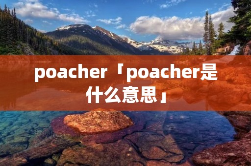 poacher「poacher是什么意思」
