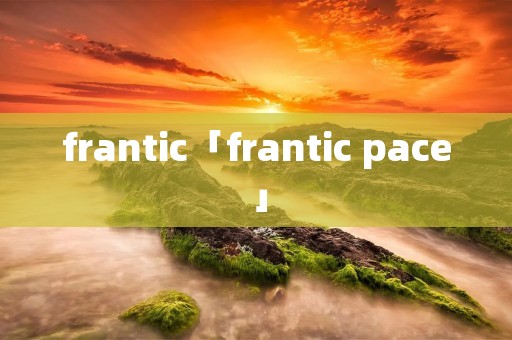 frantic「frantic pace」