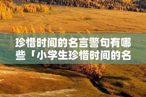珍惜时间的名言警句有哪些「小学生珍惜时间的名言警句有哪些」
