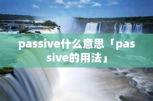 passive什么意思「passive的用法」