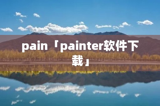 pain「painter软件下载」