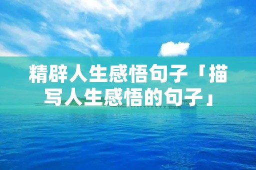 精辟人生感悟句子「描写人生感悟的句子」