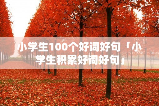 小学生100个好词好句「小学生积累好词好句」
