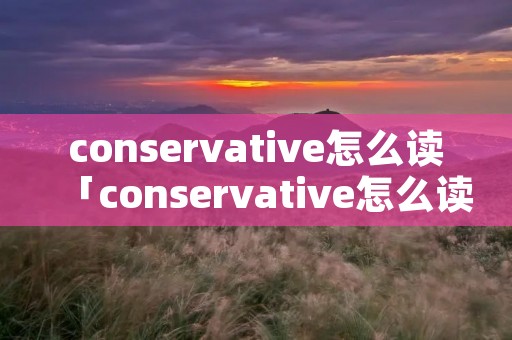 conservative怎么读「conservative怎么读英语」
