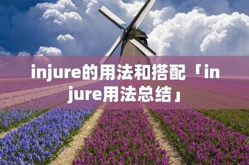 injure的用法和搭配「injure用法总结」