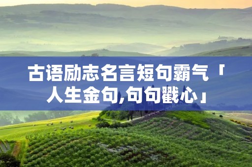 古语励志名言短句霸气「人生金句,句句戳心」