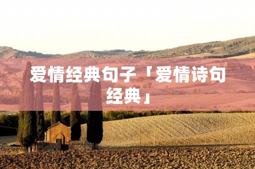 爱情经典句子「爱情诗句经典」