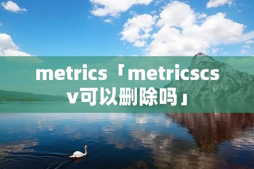 metrics「metricscsv可以删除吗」