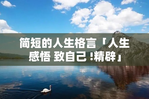 简短的人生格言「人生感悟 致自己 !精辟」