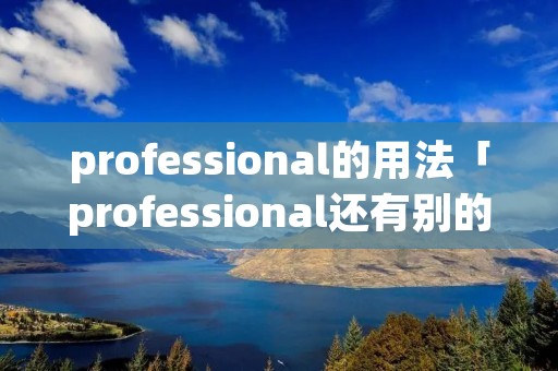 professional的用法「professional还有别的意思吗」