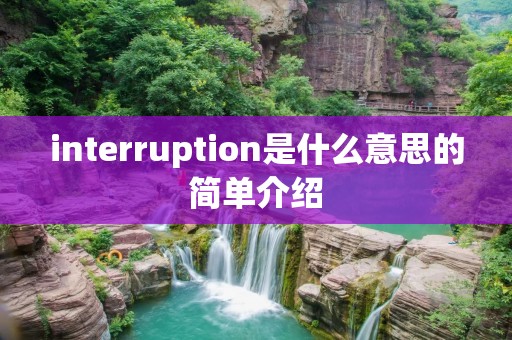 interruption是什么意思的简单介绍
