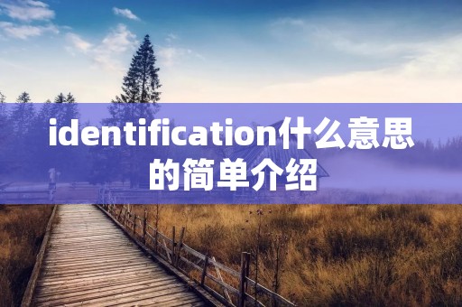 identification什么意思的简单介绍 identification什么意思的简单介绍