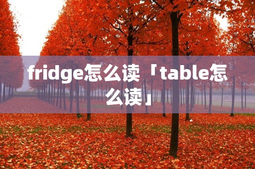 fridge怎么读「table怎么读」