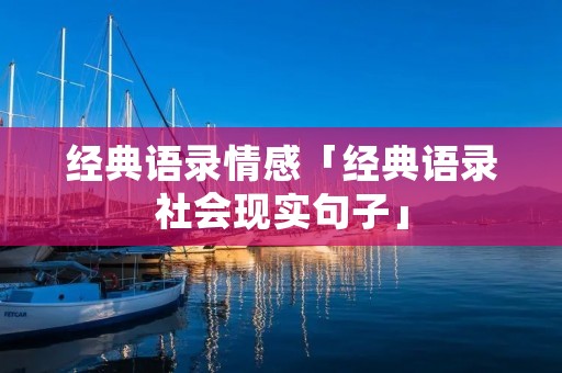 经典语录情感「经典语录社会现实句子」