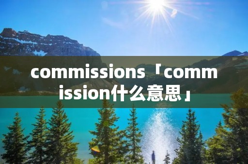 commissions「commission什么意思」