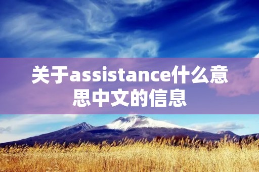 关于assistance什么意思中文的信息