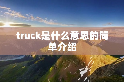 truck是什么意思的简单介绍