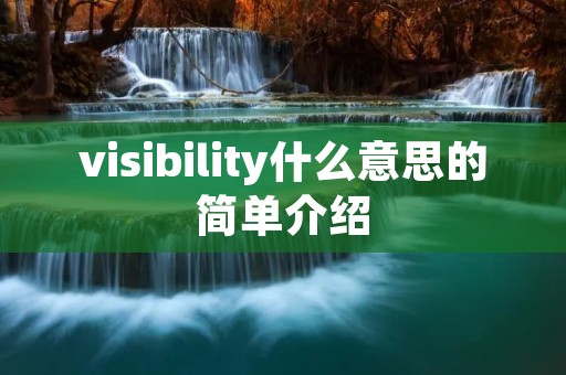 visibility什么意思的简单介绍 visibility什么意思的简单介绍