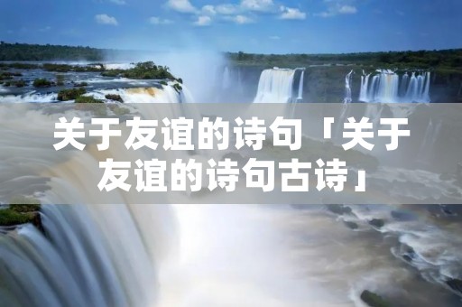 关于友谊的诗句「关于友谊的诗句古诗」