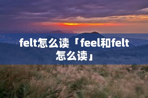 felt怎么读「feel和felt怎么读」