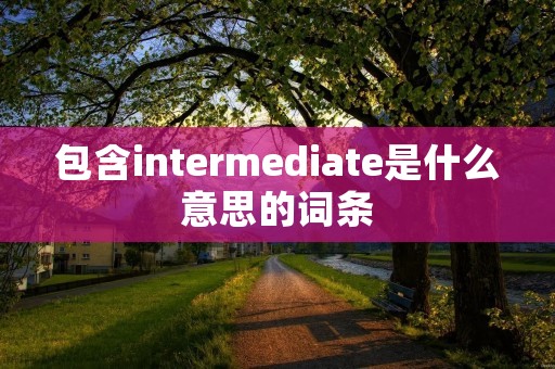包含intermediate是什么意思的词条