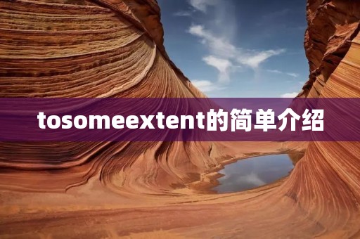 tosomeextent的简单介绍