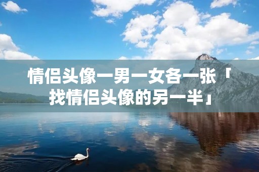 情侣头像一男一女各一张「找情侣头像的另一半」
