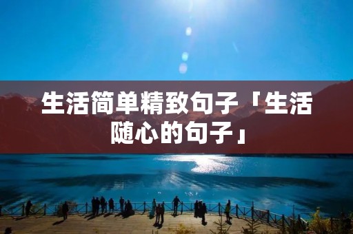 生活简单精致句子「生活随心的句子」