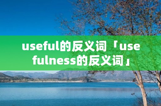 useful的反义词「usefulness的反义词」