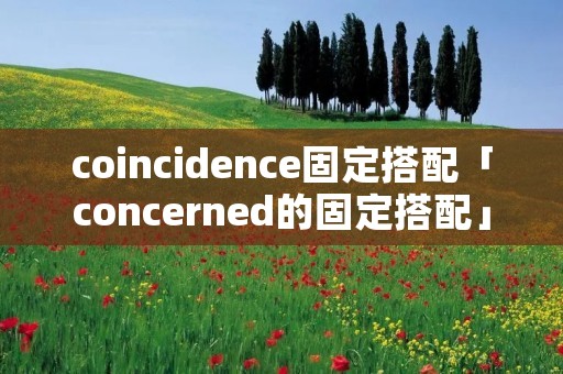 coincidence固定搭配「concerned的固定搭配」