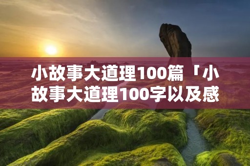 小故事大道理100篇「小故事大道理100字以及感悟」