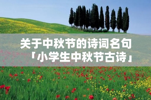 关于中秋节的诗词名句「小学生中秋节古诗」