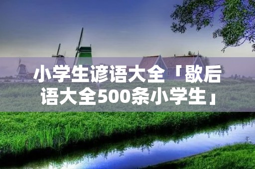 小学生谚语大全「歇后语大全500条小学生」