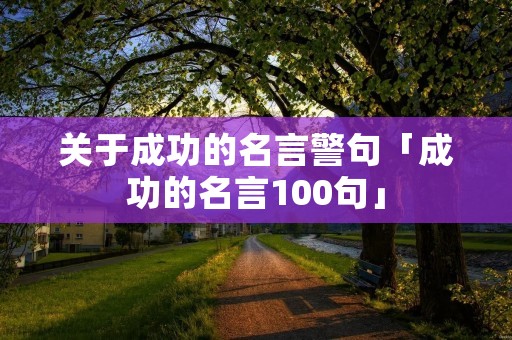 关于成功的名言警句「成功的名言100句」
