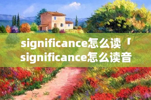 significance怎么读「significance怎么读音」