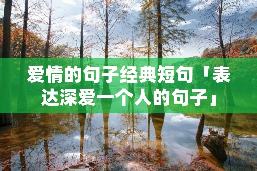 爱情的句子经典短句「表达深爱一个人的句子」